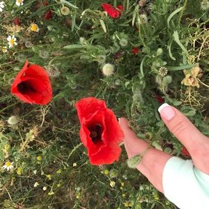 Meet your Posher, Heidi